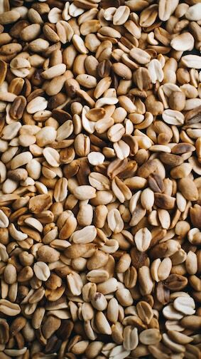 A macro shot of a collection of seeds, emphasizing their intricate patterns and natural hues.